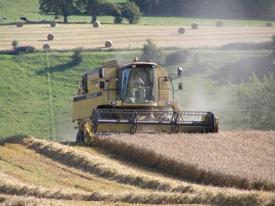 Rick Crowley / Corn Cutting in Somerset
